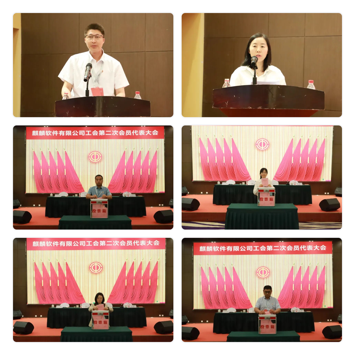 collage-1779676017935.png